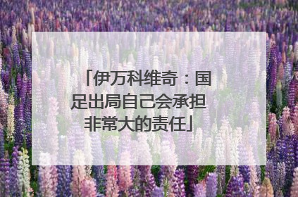 伊万科维奇：国足出局自己会承担非常大的责任