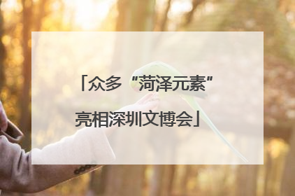 众多“菏泽元素”亮相深圳文博会
