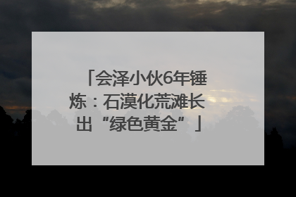 会泽小伙6年锤炼：石漠化荒滩长出“绿色黄金”