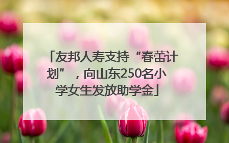 友邦人寿支持“春蕾计划”，向山东250名小学女生发放助学金