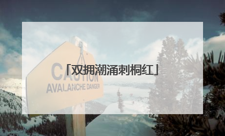 双拥潮涌刺桐红