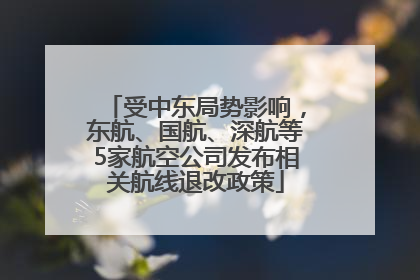 受中东局势影响，东航、国航、深航等5家航空公司发布相关航线退改政策
