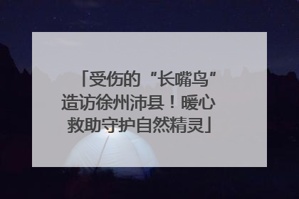 受伤的“长嘴鸟”造访徐州沛县！暖心救助守护自然精灵