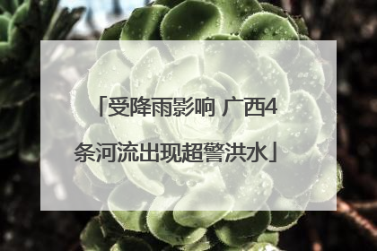 受降雨影响 广西4条河流出现超警洪水