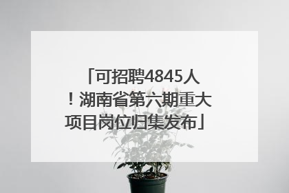 可招聘4845人！湖南省第六期重大项目岗位归集发布