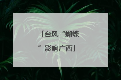 台风“蝴蝶”影响广西
