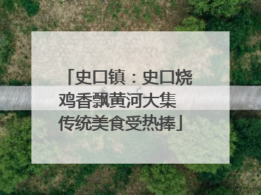 史口镇：史口烧鸡香飘黄河大集 传统美食受热捧
