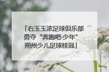 右玉玉浓足球俱乐部勇夺“奔跑吧·少年”朔州少儿足球桂冠