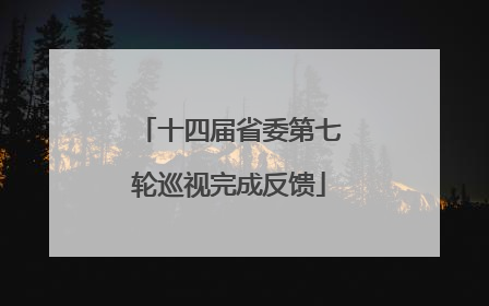 十四届省委第七轮巡视完成反馈