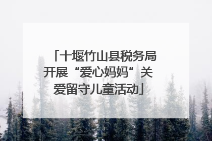 十堰竹山县税务局开展“爱心妈妈”关爱留守儿童活动