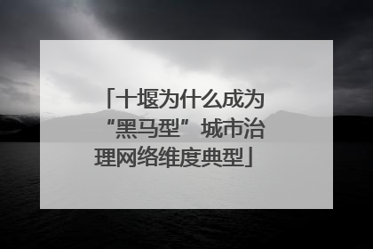 十堰为什么成为“黑马型”城市治理网络维度典型