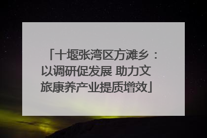 十堰张湾区方滩乡：以调研促发展 助力文旅康养产业提质增效