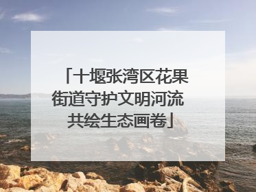 十堰张湾区花果街道守护文明河流 共绘生态画卷