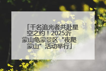 千名追光者共赴星空之约！2025沂蒙山龟蒙景区“夜爬蒙山”活动举行