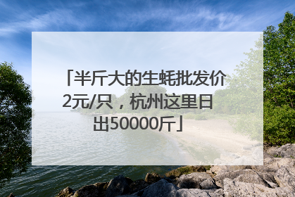 半斤大的生蚝批发价2元/只，杭州这里日出50000斤