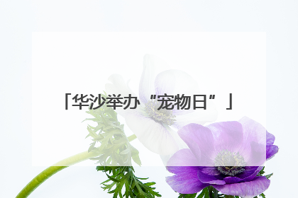 华沙举办“宠物日”