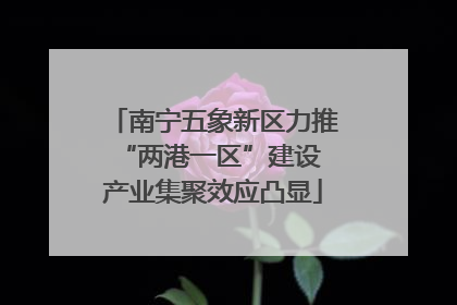 南宁五象新区力推“两港一区”建设 产业集聚效应凸显
