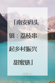 南安码头镇：荔枝串起乡村振兴甜蜜链