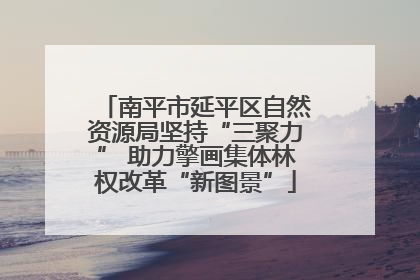 南平市延平区自然资源局坚持“三聚力” 助力擎画集体林权改革“新图景”