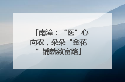南漳：“医”心向农，朵朵“金花”铺就致富路