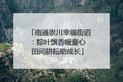 南通崇川幸福街道：粽叶飘香暖童心 田间耕耘助成长