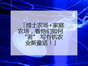 博士农场+家庭农场，看他们如何“薯” 写有机农业新童话！