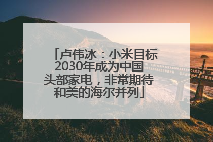 卢伟冰：小米目标2030年成为中国头部家电，非常期待和美的海尔并列