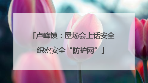 卢峰镇：屋场会上话安全 织密安全“防护网”