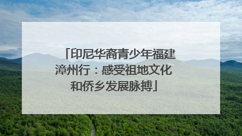印尼华裔青少年福建漳州行：感受祖地文化和侨乡发展脉搏
