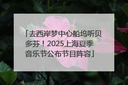 去西岸梦中心船坞听贝多芬！2025上海夏季音乐节公布节目阵容