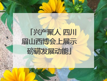 兴产聚人 四川眉山西博会上展示磅礴发展动能