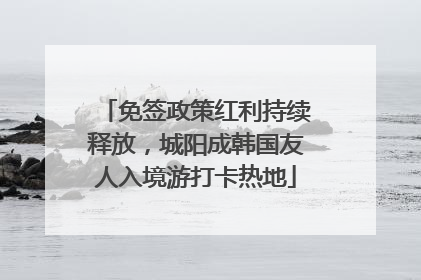 免签政策红利持续释放，城阳成韩国友人入境游打卡热地
