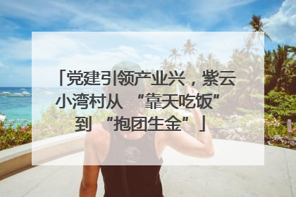 党建引领产业兴，紫云小湾村从 “靠天吃饭” 到 “抱团生金”