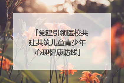 党建引领医校共建共筑儿童青少年心理健康防线