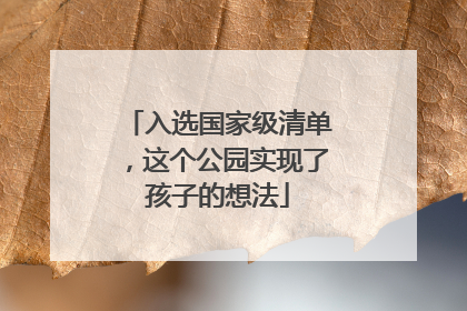 入选国家级清单，这个公园实现了孩子的想法