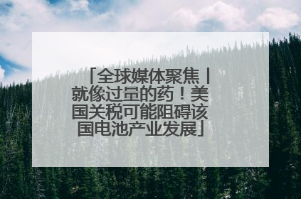 全球媒体聚焦丨就像过量的药！美国关税可能阻碍该国电池产业发展