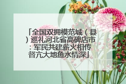 全国双拥模范城（县）巡礼河北省高碑店市：军民共建薪火相传 督亢大地鱼水情深