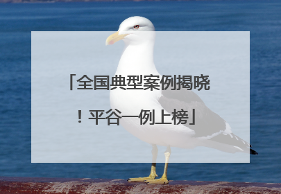 全国典型案例揭晓！平谷一例上榜
