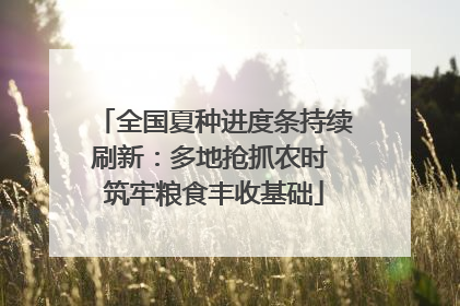 全国夏种进度条持续刷新：多地抢抓农时 筑牢粮食丰收基础