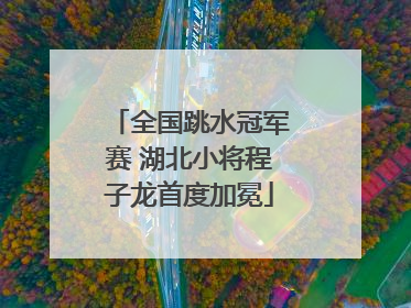 全国跳水冠军赛 湖北小将程子龙首度加冕
