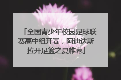 全国青少年校园足球联赛高中组开赛，阿迪达斯拉开足篮之夏帷幕