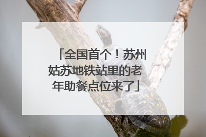全国首个！苏州姑苏地铁站里的老年助餐点位来了