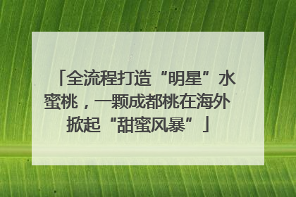 全流程打造“明星”水蜜桃，一颗成都桃在海外掀起“甜蜜风暴”