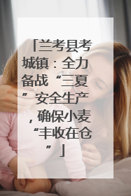 兰考县考城镇：全力备战“三夏”安全生产，确保小麦“丰收在仓”
