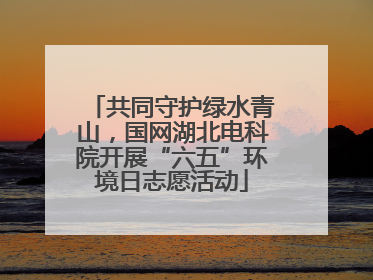 共同守护绿水青山,国网湖北电科院开展“六五”环境日志愿活动