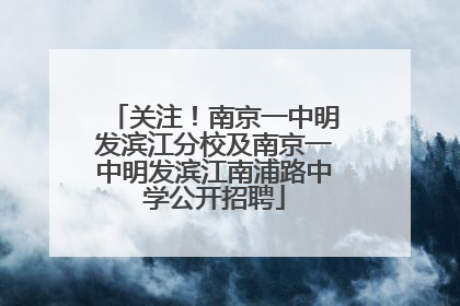 关注！南京一中明发滨江分校及南京一中明发滨江南浦路中学公开招聘