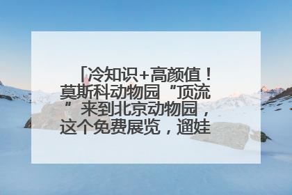 冷知识+高颜值！莫斯科动物园“顶流”来到北京动物园，这个免费展览，遛娃拍照两不误！