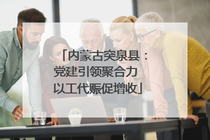内蒙古突泉县：党建引领聚合力 以工代赈促增收
