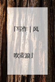 写作｜风吹麦浪