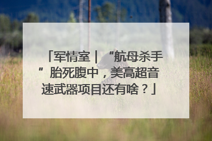 军情室｜“航母杀手”胎死腹中，美高超音速武器项目还有啥？